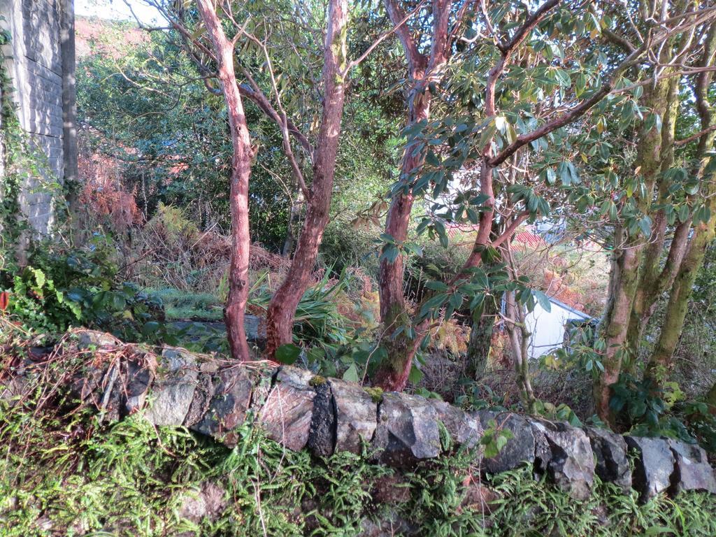 Elmbank Garden Apartment Oban Zimmer foto